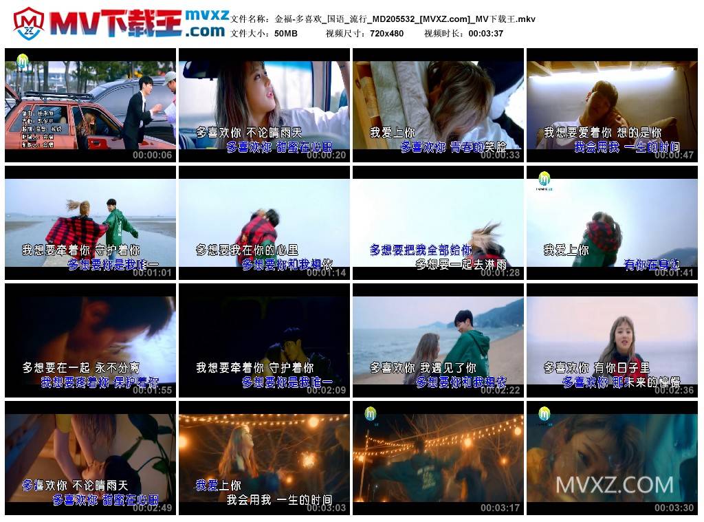 金福-多喜欢_国语_流行_MD205532